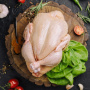 В ФАС начали проверку производителей курятины: она подорожала почти на 20%