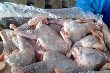 В Калининград не пустили 67 тонн куриного мяса
