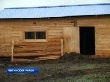 Специальные откормочные площадки для крупного рогатого скота строятся в Забайкалье