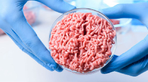 Производитель искусственного мяса Impossible Foods готовится выйти на биржу с оценкой в $10 млрд