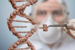 Британская Genus Plc ведет переговоры о поставках на китайский рынок устойчивых к вирусам генномодифицированных свиней
