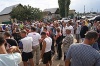 К свиньям применили высшую меру