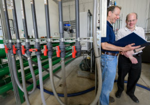 В США разработана технология получения чистой воды из навоза