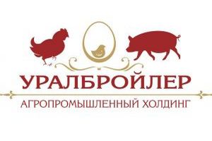 «Уралбройлер» может быть продан агрохолдингу из Пензенской области