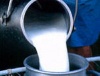 Беларусь активно продвигает продукцию мясо-молочной промышленности на самом высоком уровне