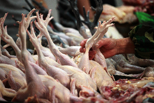 Кубань увеличила экспорт мяса птицы в Китай