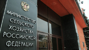 Минсельхоз направил в Правительство РФ предложения по пролонгации льготных кредитов