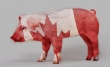 Россельхознадзор с 14 ноября ограничит поставки свинины из Канады
