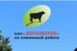 Министр сельского хозяйства Московской области посетил крупнейшее российское предприятие в сфере племенного животноводства