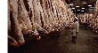 Россия и Белоруссия вновь спорят о поставках молока и мяса Россия и Белоруссия вновь спорят о поставках молока и мяса