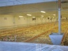 Банкротством Безенчукской птицефабрики займутся федеральные правоохранители
