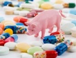 Бельгия: план из 10 пунктов по сокращению использования антибиотиков