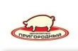 В «СК Пригородный» были изысканы средства для закупки достаточного количества корма для свиней