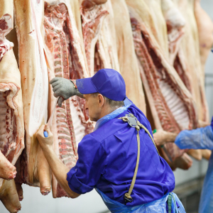 Крупный мясокомбинат построят в Якутии