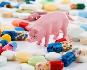 В Дании увеличилось терапевтическое использование антибиотиков в животноводстве