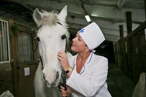 В Бурятии хотят добиться обязательного чипирования сельскохозяйственных и домашних животных