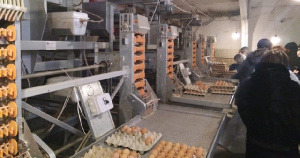 В Пензенской области открыли птицеводческий цех, оснащенный отечественным оборудованием