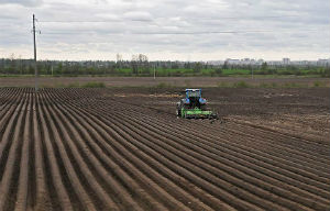 Область выложит карты. Руководство Ленинградской области намерено объединить информацию о сельхозземлях