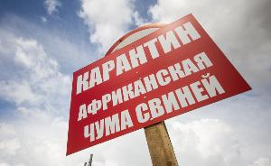 Карантин по африканской чуме свиней ввели в Кабардино-Балкарии Карантин по африканской чуме свиней ввели в Кабардино-Балкарии