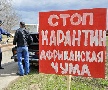 Свиная чума захватывает регионы