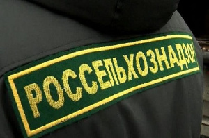 В Калининграде суд на месяц закрыл мясокомбинат после проверки Россельхознадзора