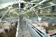 «АПК Станицу» оборудуют на 1,4 млрд рублей