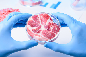 За какое время можно вырастить кусок искусственного мяса?