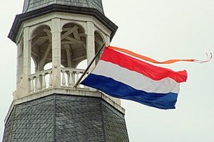 На птицефабриках Голландии нашли еще один запрещенный инсектицид