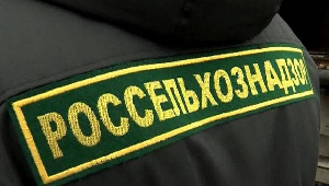 Россельхознадзор предупреждает жителей Мордовии о новом и опасном заболевании