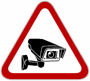 В Испании скотобойни оборудуют видеокамерами