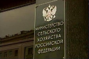 Российскому птицеводству необходима поддержка