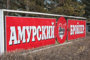 "Амурский бройлер" получил статус племенного репродуктора