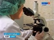 Самарская область готовится к проведению сертификации по мировым стандартам