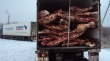 На Брянщину не пустили 10 тонн белорусской говядины