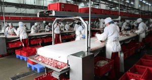 Осенью в Северной Осетии введут в эксплуатацию мясоперерабатывающий завод СППК «Агро Юг»