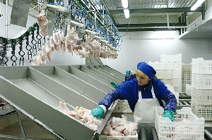 Готовится технический регламент ТС «О безопасности мяса птицы и продукции ее переработки»