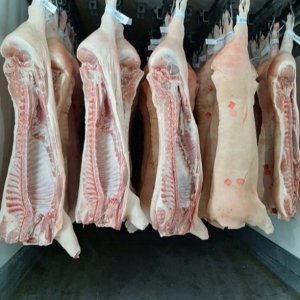 Португалия: убой свиней снизился на 4,5% с января по сентябрь этого года