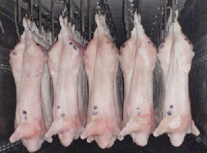 Запрещенную свинину из ЕС пытались ввести в Россию под видом говяжьей печени