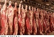 Ураган Сэнди подтолкнул к росту котировки на свинину