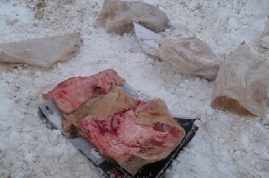 В Новочеркасске неизвестные выбросили на трассе останки животных