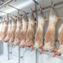 Агрохолдинги увеличили производство мяса за два месяца почти на 5%
