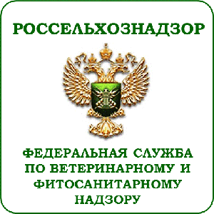 В Калининградской области задержали 1,5 тонны нелегальной польской свинины