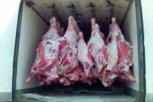 На Пулковском шоссе похитили фуру с мясом