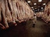РФ в июле увеличила производство мясопродуктов, снизила выпуск молока - Росстат
