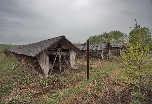 Камчатские крестьяне просят краевые власти дать им спокойно «помереть»