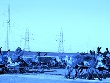 На Ямале предлагают искусственно сократить поголовье оленей На Ямале предлагают искусственно сократить поголовье оленей