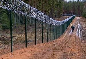 Франция строит на границе с Бельгией 100 километров забора от распространения АЧС