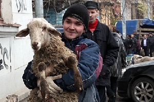 В Литве решили узаконить ритуальный забой скота