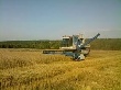 Сельхозпредприятия Ангарского района произвели продукции на 2 млрд. руб.