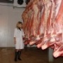 Белгородские аграрии в первом полугодии увеличили производство мяса на 12,8%